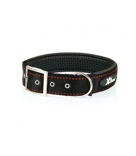 Collares para Perros